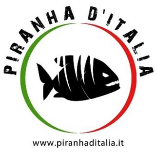 Piranha d'Italia web site: www.piranhaditalia.it