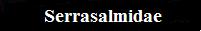 Revised family name 2009