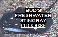 Bud's Sting Rays.