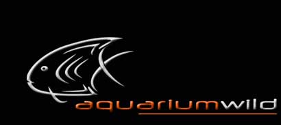 Visit Aquarium Wild!
