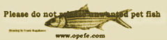 Read how to protect native fish and not release unwanted aquarium fishes.