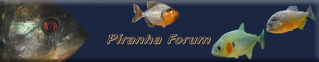 Visit the UK Piranha Forum.