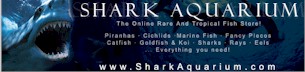click to Access: http://www.sharkaquarium.com/